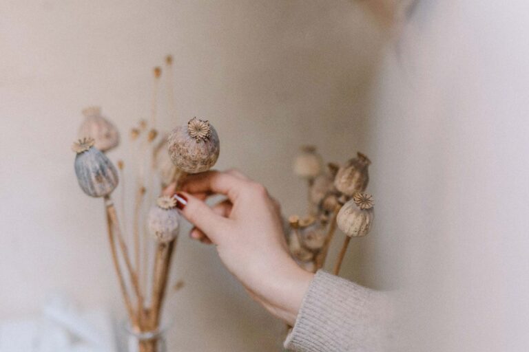 Lifestyle Foto Hand mit Trockenblumen